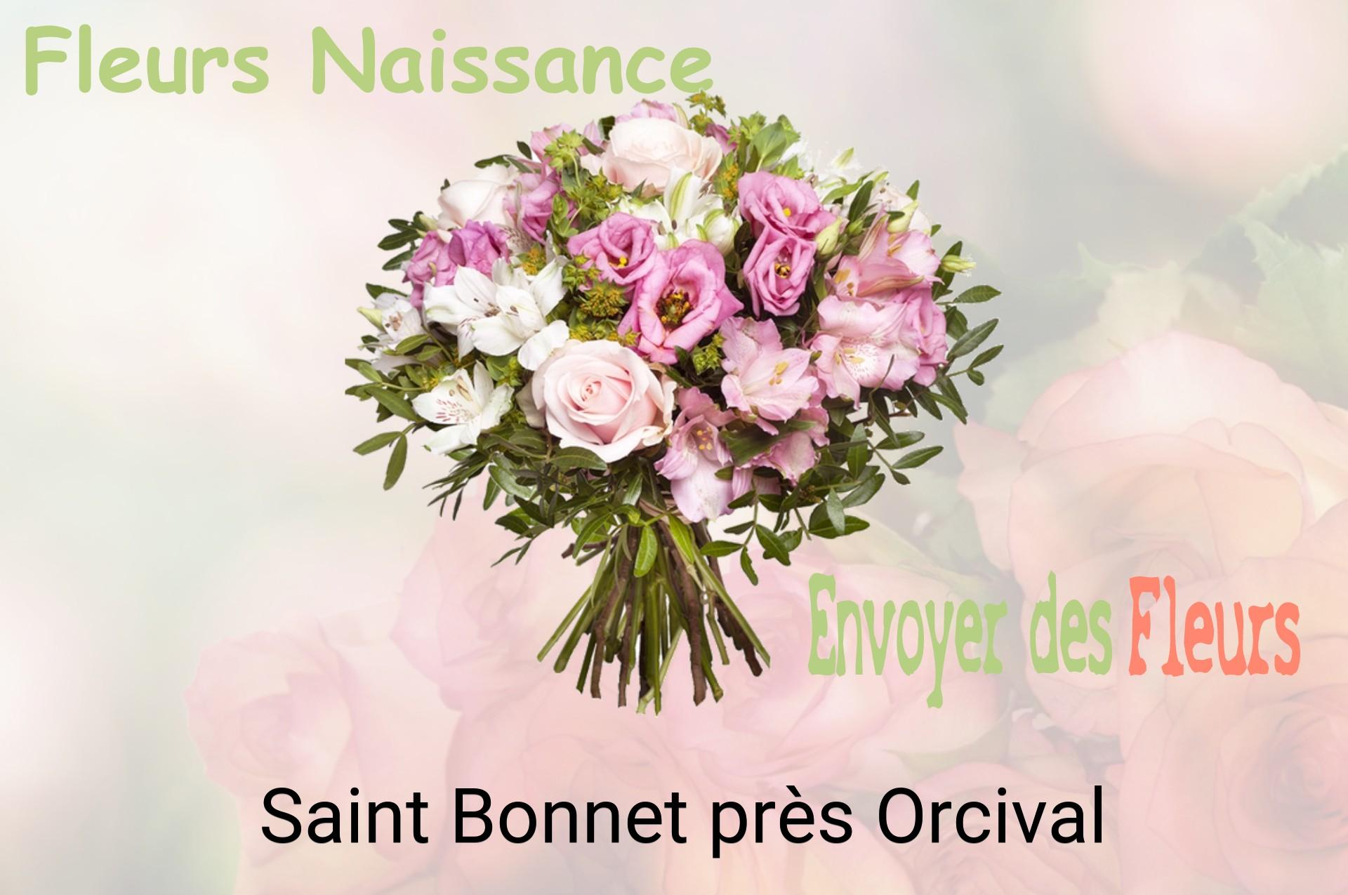 Bouquet de fleurs de naissance livré à Saint-Bonnet-près-Orcival